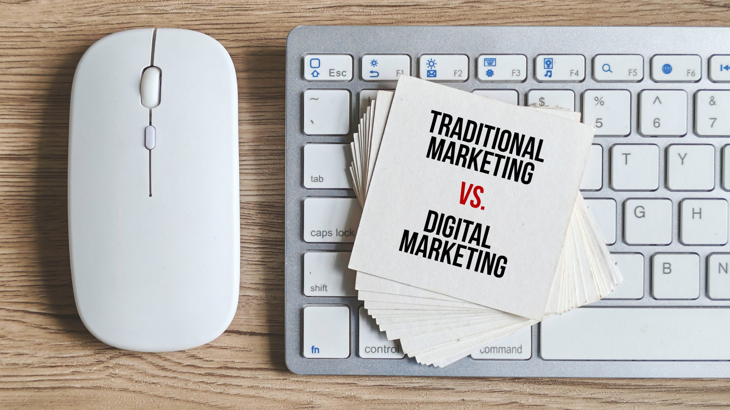 SEO Services Riverview Florida